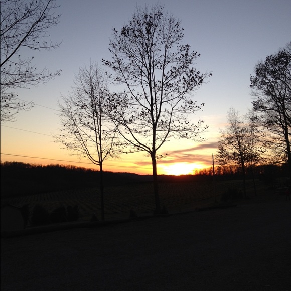 Profile Picture of Andrea Mushinsky (@ajsthisandthat) on Poshmark