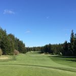 Profile Picture of Thomas Kincaid (@golfyourballnatty) on Instagram