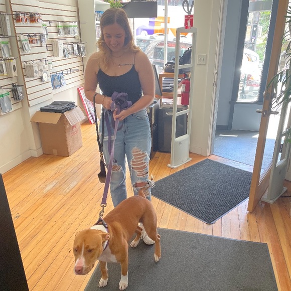 Isabella Antonelli - Poshmark Profile Picture of Isabella Antonelli (@iantonelli) on Poshmark