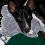 Profile Picture of Teddy Pace (@tedsterabc) on Instagram