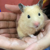 Profile Picture of Edimara Bayma (@edimarabayma6340) on Youtube