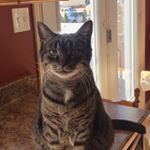 Profile Picture of Kim Steeves (@kimsteevesrmt) on Instagram