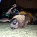 Profile Picture of Gregory Scott (@grizzle86) on Pinterest