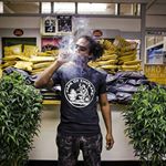 Profile Picture of Mike burley (@mike_burley944) on Instagram