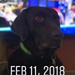Profile Picture of Greg Ferrell (@gfferrell) on Instagram