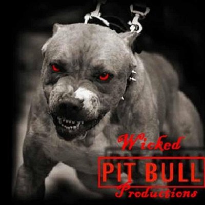 Profile Picture of Papp Olivér (@PaOltgr) on Twitter