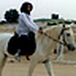 Profile Picture of Noor Al Kandary (@noor al kandary) on Flickr