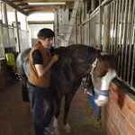 Profile Picture of Michael Adreas Gothe Lermer (@michaeladreas) on Instagram