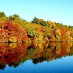 Tim Warhurst - Twitter Profile Picture of Tim Warhurst (@HermitWoodcraft) on Twitter