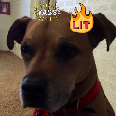 Julian Riley - Twitter Profile Picture of Julian Riley (@julianriley18) on Twitter