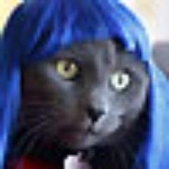 Profile Picture of Dan Malinowski (@dan_malinowski) on Twitter