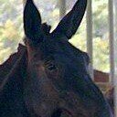 Jim Stilwell - Instagram Profile Picture of Jim Stilwell (@captainkula) on Instagram