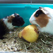 Profile Picture of Sylvie DEVISME (@SylviaDelaMaria) on Youtube