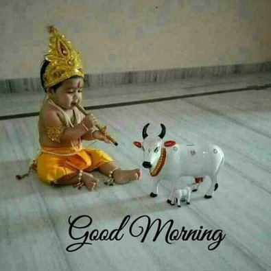 Profile Picture of Rajendra Maharaj (@Rajendr30201826) on Twitter