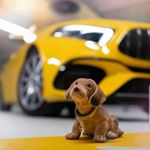 Profile Picture of Sandra Thomas (@sandrathomas7132) on Instagram