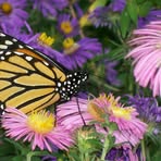 Profile Picture of Eleanor Meyerhoff (@eleanor.meyerhoff) on Facebook