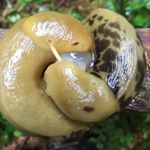 Profile Picture of Keith Brothers (@keithbrovers) on Instagram