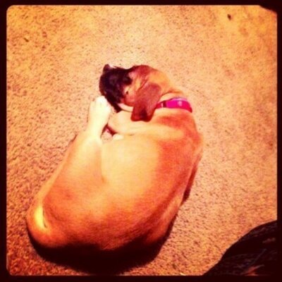 Alexa Bryant - Twitter Profile Picture of Alexa Bryant (@alexabryant41) on Twitter