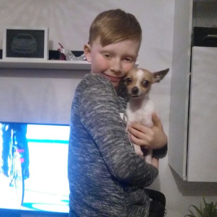 Profile Picture of Maxarnold (@maxajf) on Tiktok