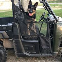 Profile Picture of Mark Cornwell (@mark-cornwell-21) on Quora