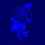 Profile Picture of BLUE ORGVSM ® (@blueorgvsm) on Instagram