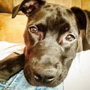 Kerri Felton - Pinterest Profile Picture of Kerri Felton (@krosback18) on Pinterest