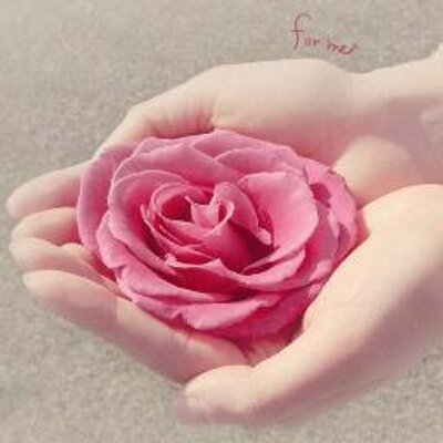 Lucy Hsieh - Twitter Profile Picture of Lucy Hsieh (@njdhsieh) on Twitter