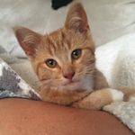 Profile Picture of Leo Bart Findlay (@_lil_leo_69) on Instagram