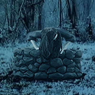 Profile Picture of Erin, On The Side Of Caution (@CalliopeAnim) on Twitter