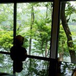 Profile Picture of julia_ding (@julia_ding) on Instagram