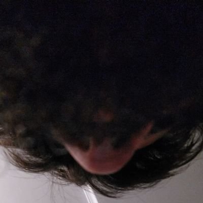 Profile Picture of David Alligator (@David_AliagaP) on Twitter