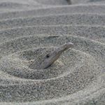 Profile Picture of Daniel Fleurant (@daniel.fleurant.7) on Instagram