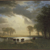 Profile Picture of Kate Finn (@finny204) on Youtube