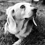 Profile Picture of Chloe The happinessadviser (@chloethehappinessadviser) on Instagram
