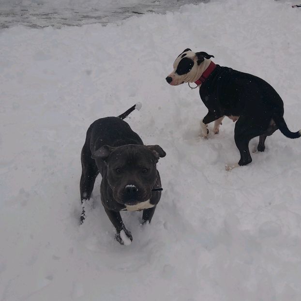 Profile Picture of lance hauk (@lhauk84) on Tiktok