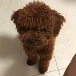 Profile Picture of Kevin Qiu (@qiushaojian) on Instagram