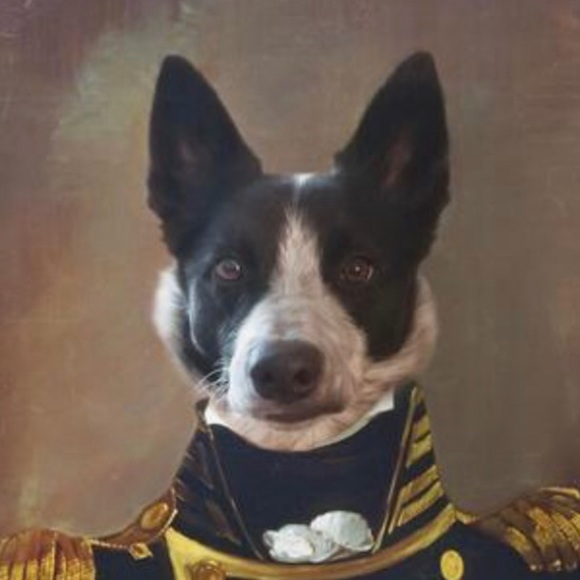 Profile Picture of Paul Rideout (@paulrideout) on Poshmark