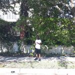 Chris Springfield - Instagram Profile Picture of Chris Springfield (@chrisspringfield) on Instagram