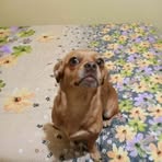 Profile Picture of Erick Aguiar (@erick.aguiar.289083) on Facebook