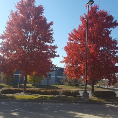 Profile Picture of Sue Kelley (@suekell01497357) on Twitter