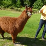 Profile Picture of Elizabeth Cordy (@elicordy) on Facebook