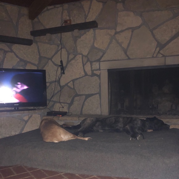 Profile Picture of Michael Winner (@zeusgunner) on Poshmark