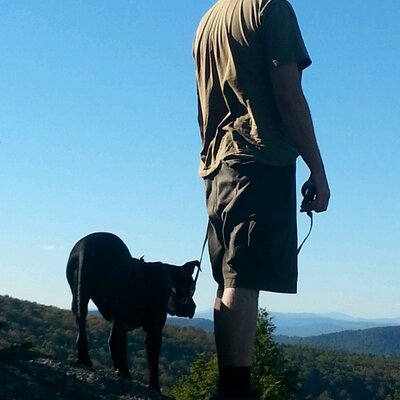 Profile Picture of Mark Kreamer (@markkreamer) on Twitter
