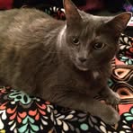 Profile Picture of Daisy Neuburger (@daisy.neuburger) on Facebook