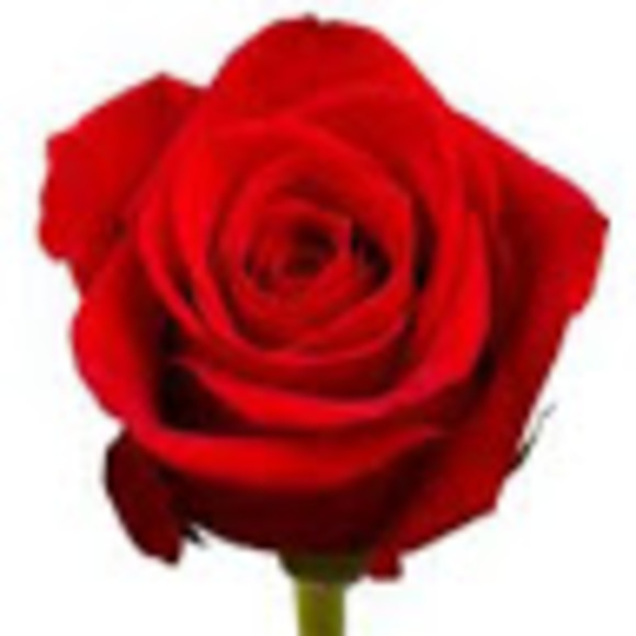 Profile Picture of Hayden Hancock (@haydenhancock) on Poshmark