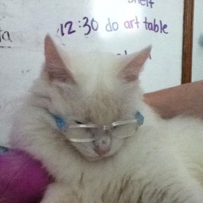 Profile Picture of LUCY TOD MCGEE (@Lucytoddd) on Twitter