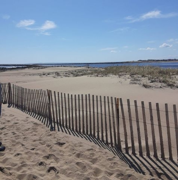 Profile Picture of Robin Gray (@rgray4410) on Poshmark