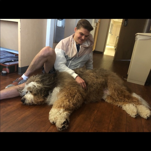 Profile Picture of Will Staerkel (@wstaerkel) on Poshmark