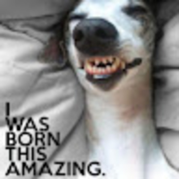 Profile Picture of Debbie Mcmahon (@phdmacretires) on Poshmark