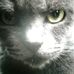 Profile Picture of Ruby Fox (@ruby.fox.7106) on Facebook